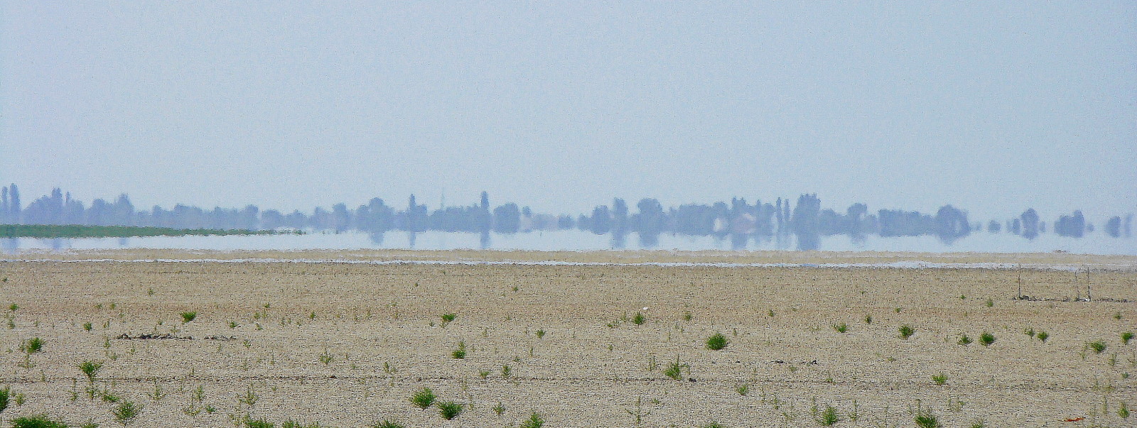 Ханское озеро, image of landscape/habitat.