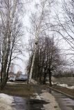 Малоярославец и окрестности, image of landscape/habitat.