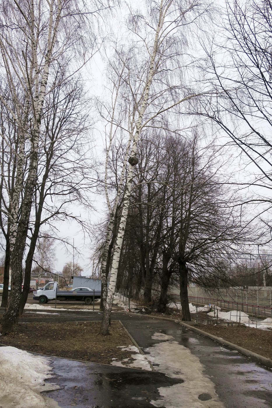 Малоярославец и окрестности, image of landscape/habitat.