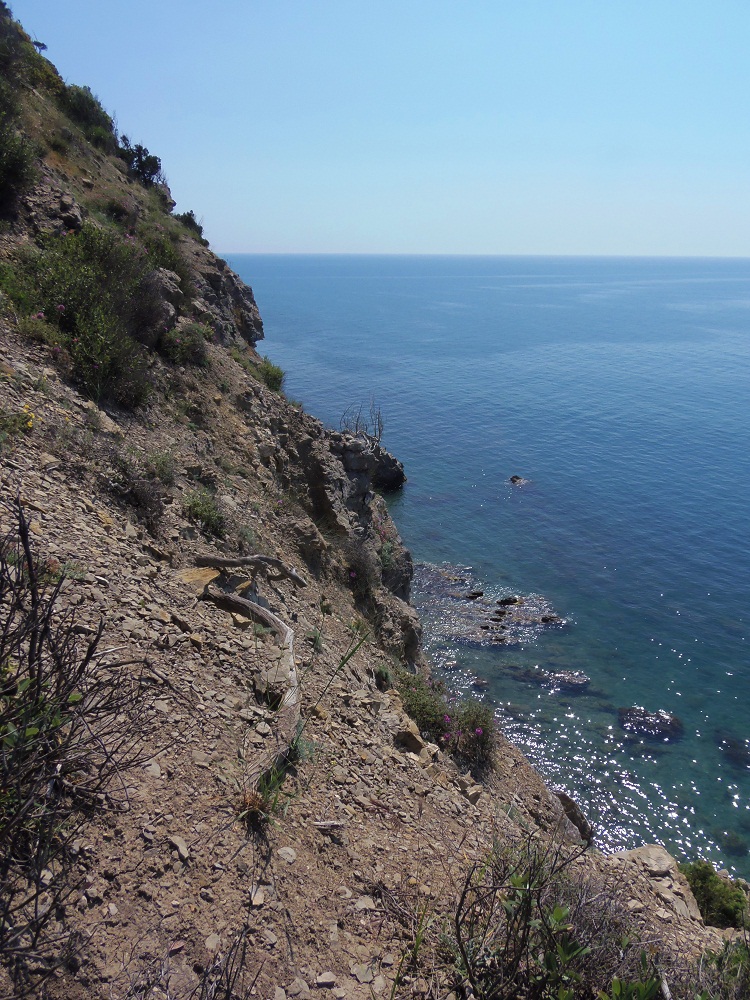 Мыс Никитин, image of landscape/habitat.