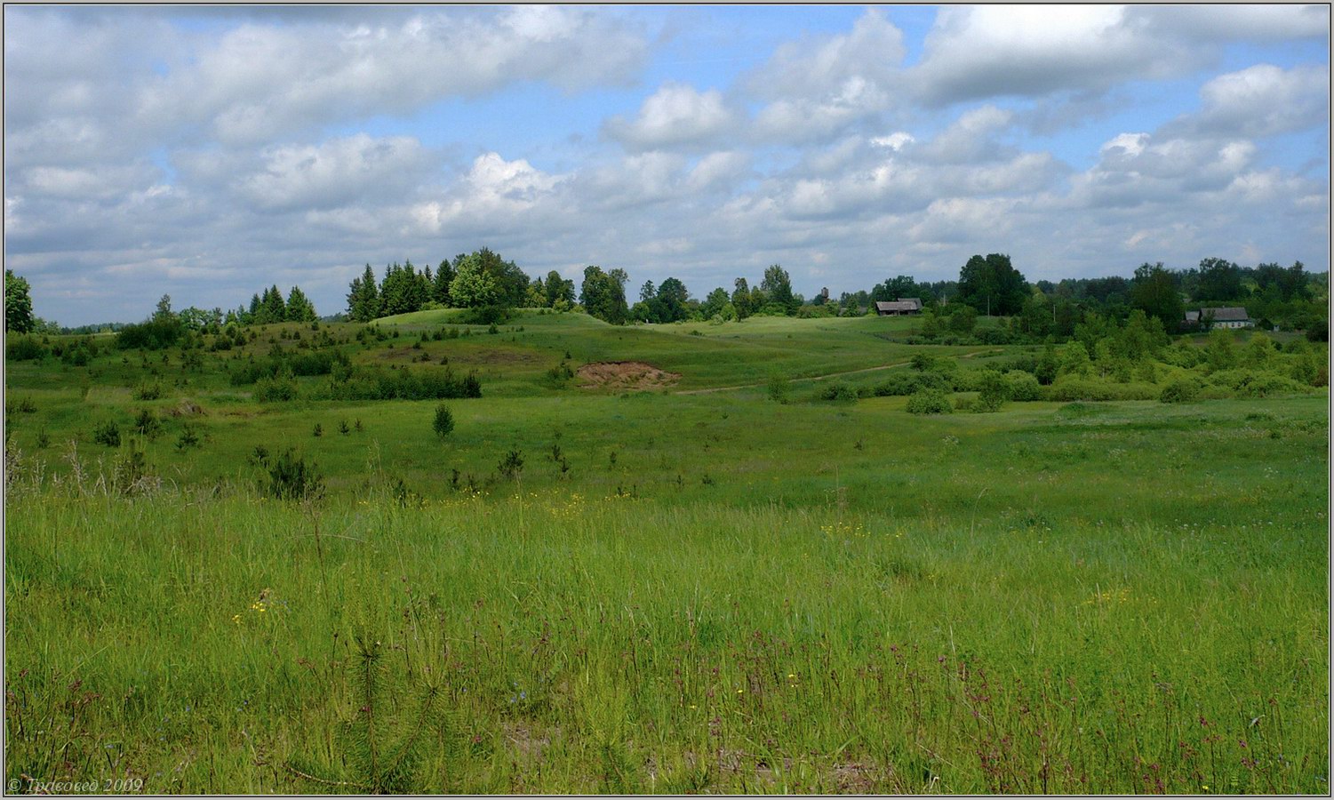 Деревня Гостилово, image of landscape/habitat.