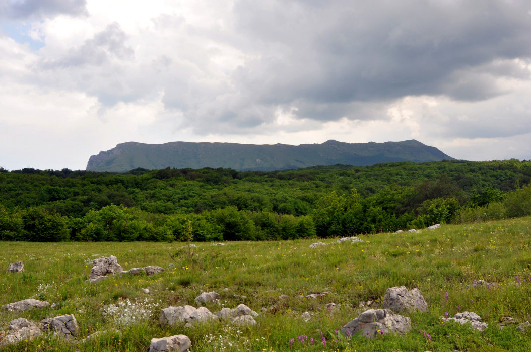 Чатырдаг (нижнее плато), image of landscape/habitat.