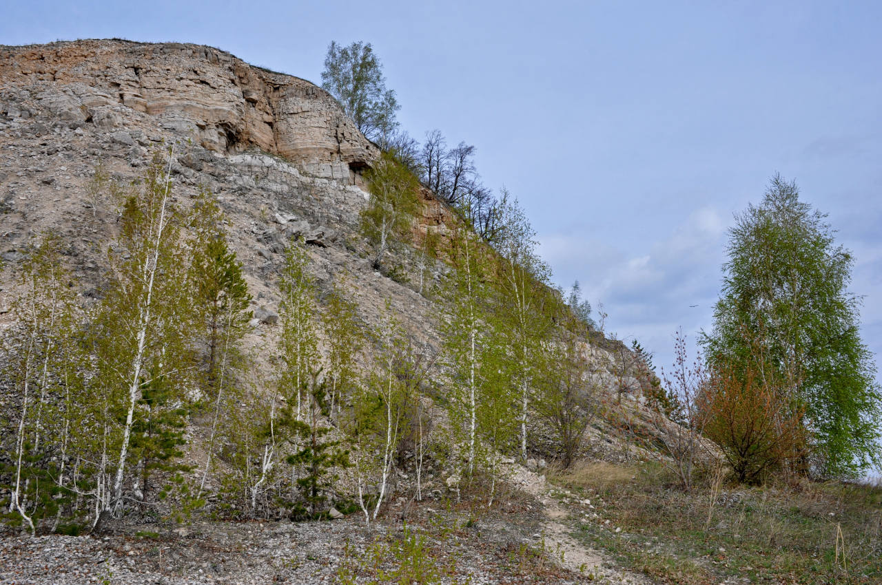 Попова гора, изображение ландшафта.