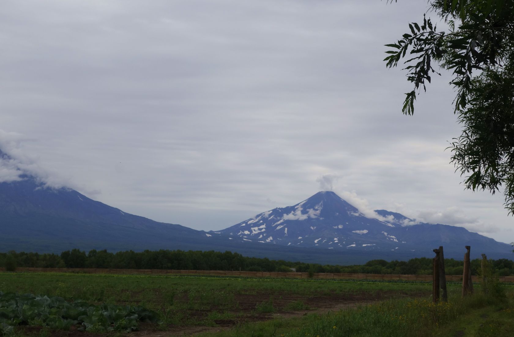 Мечта, image of landscape/habitat.