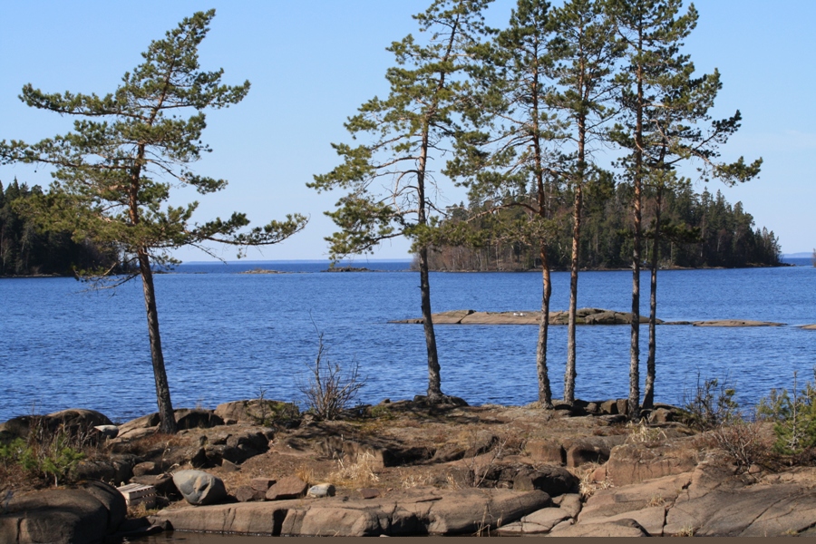 Остров Валаам, image of landscape/habitat.
