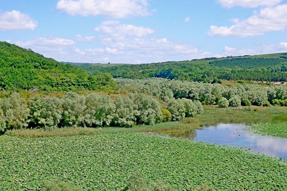 Долина реки Дюрсо, image of landscape/habitat.