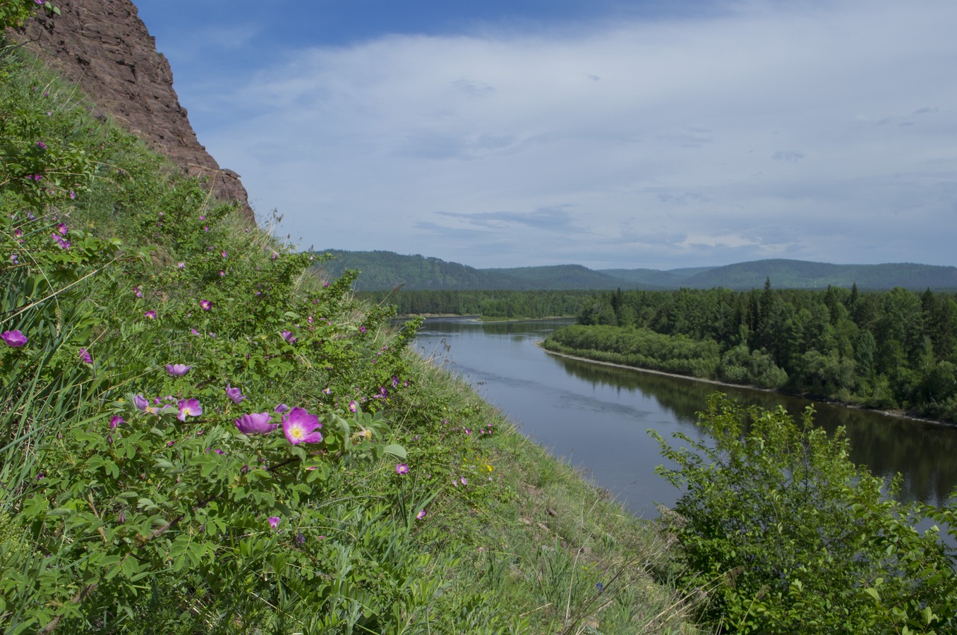 Село Шаманка, image of landscape/habitat.