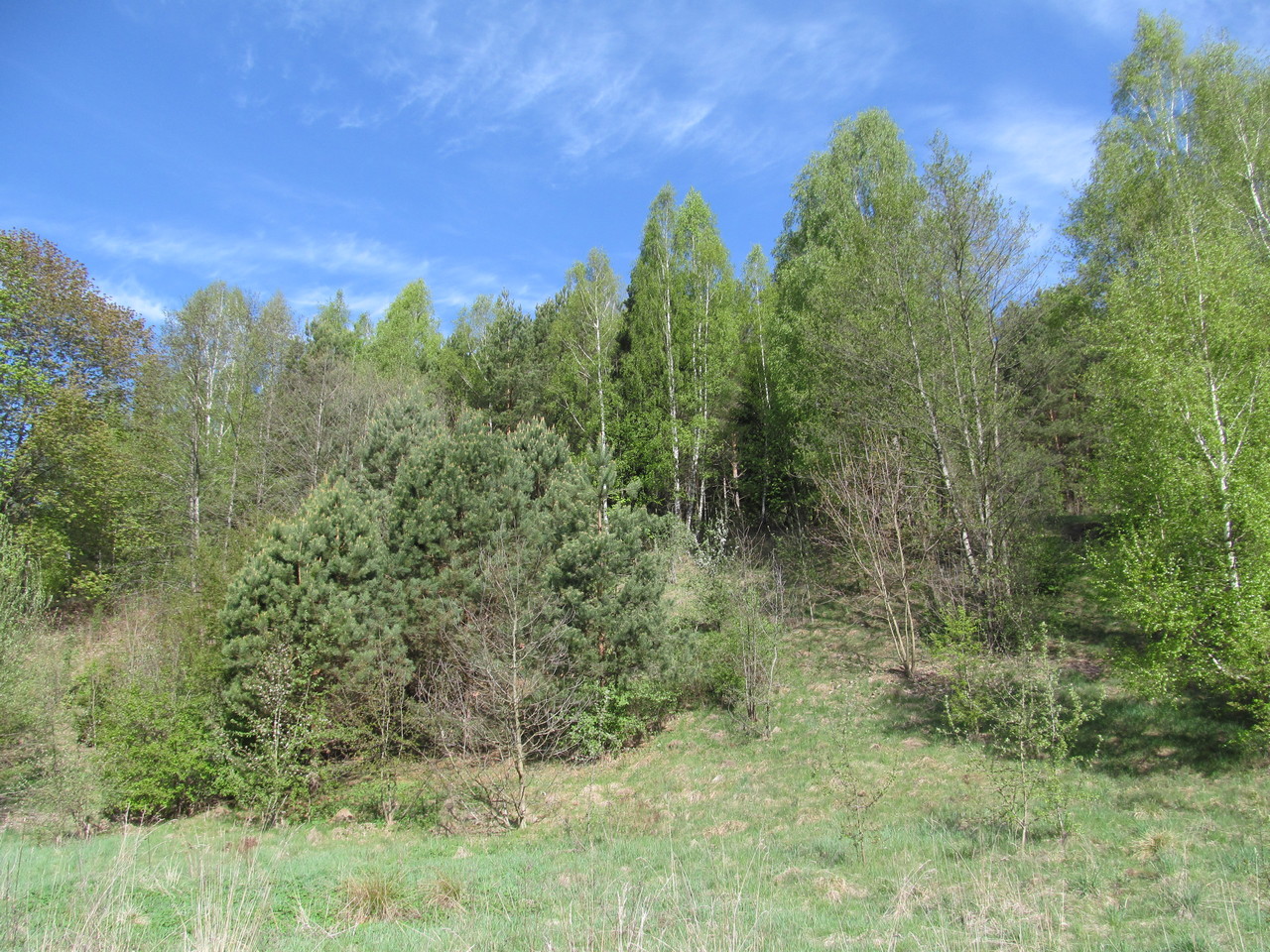 Мольничи, image of landscape/habitat.