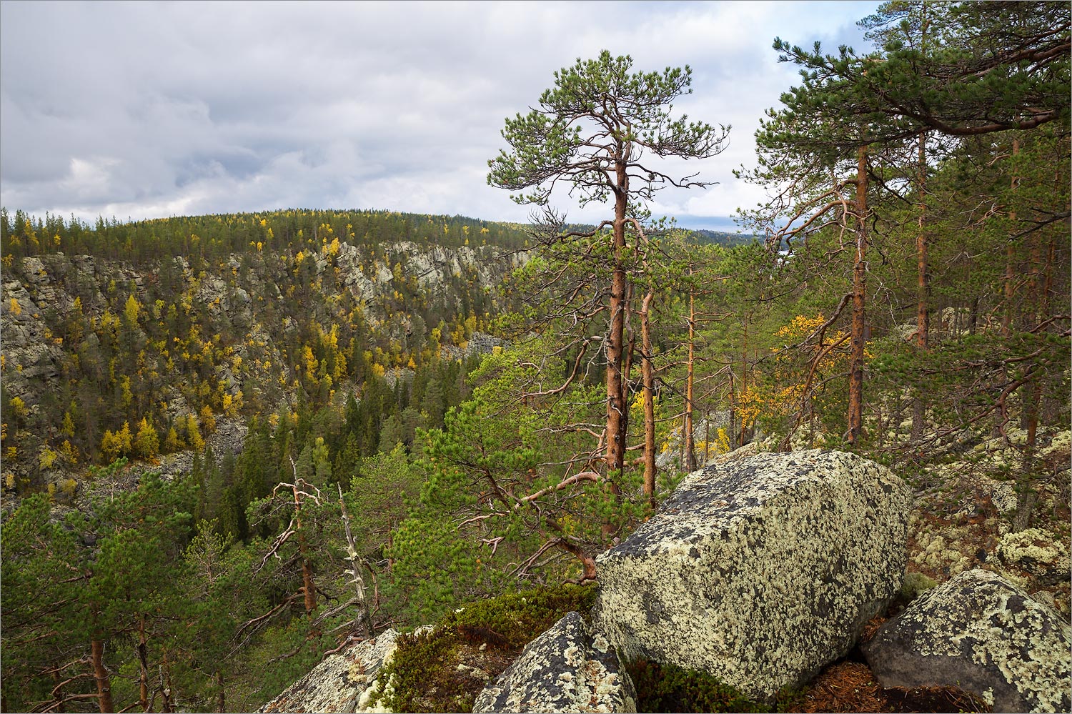 Пизанец, image of landscape/habitat.