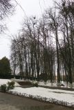 Изображение ландшафта