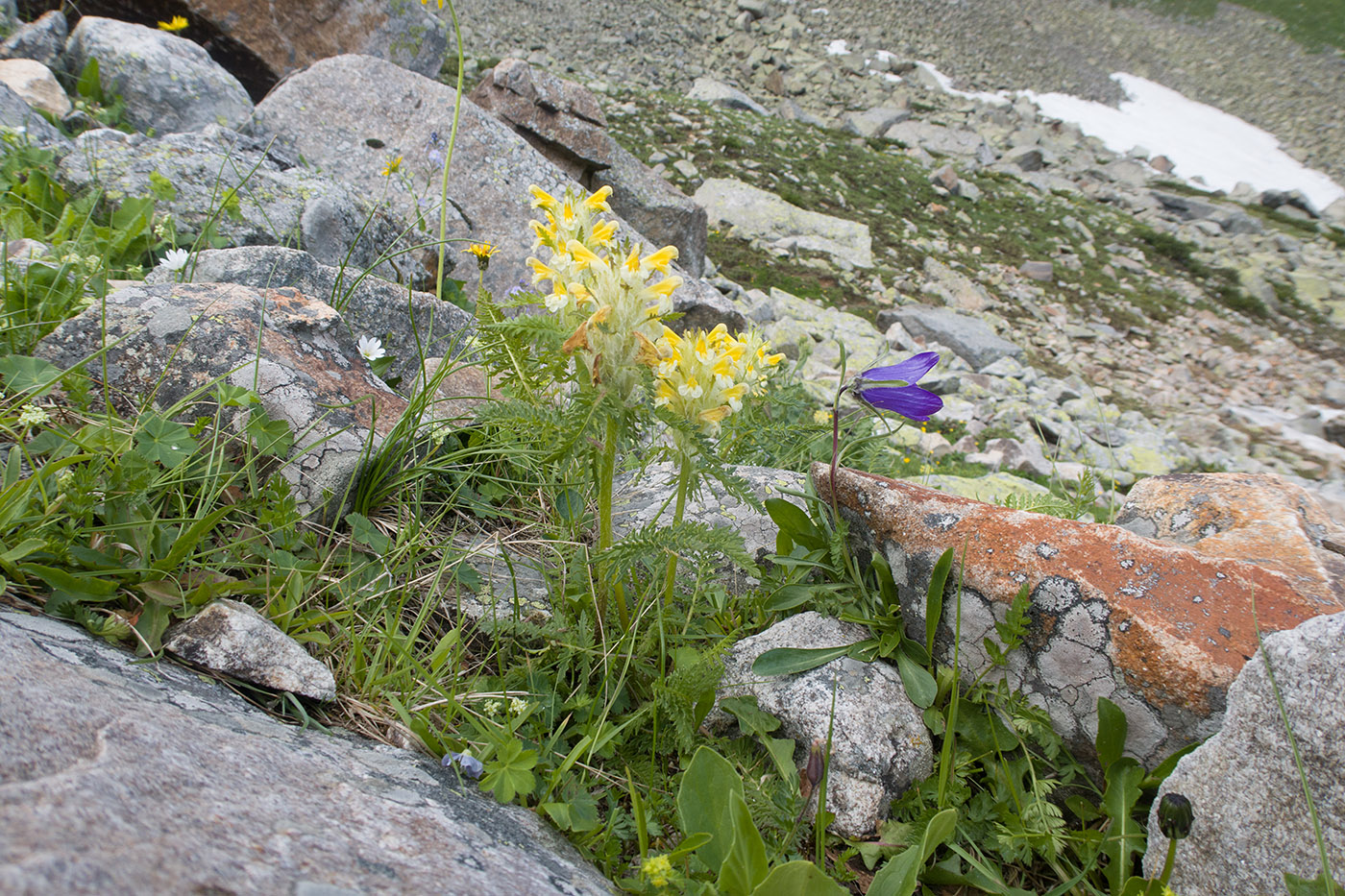 Долина Туранашки, image of landscape/habitat.