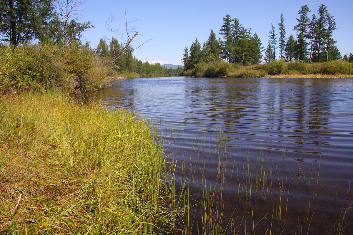 Окрестности Северного, image of landscape/habitat.