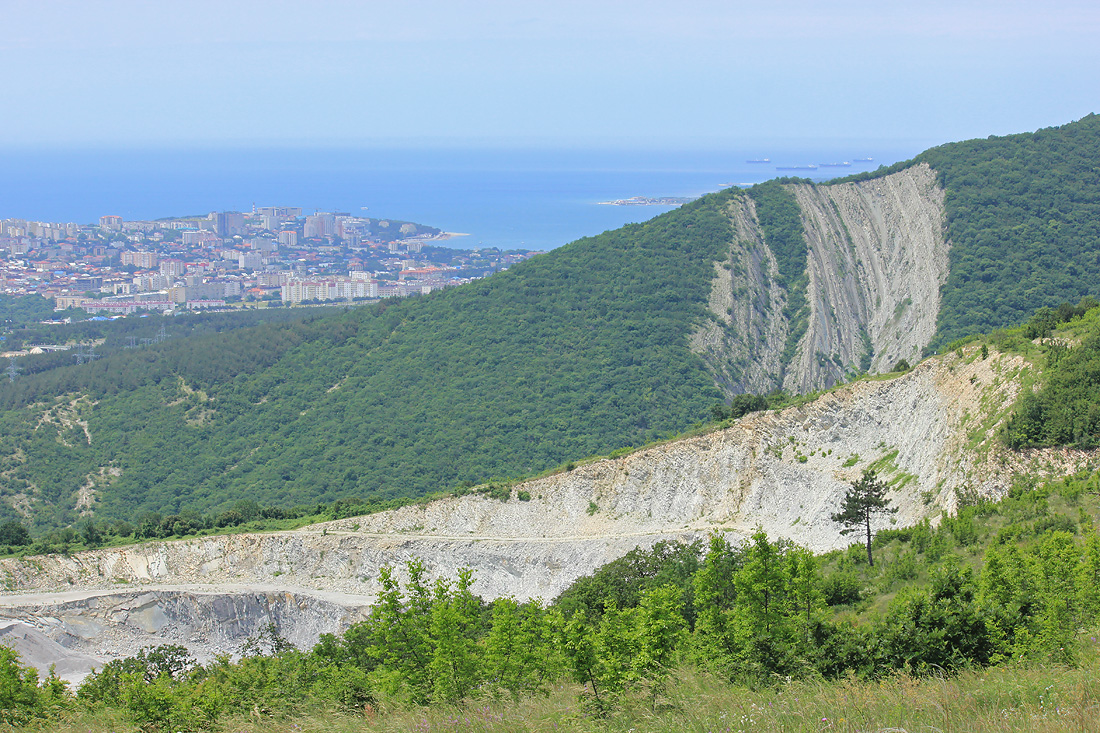 Нексис, image of landscape/habitat.