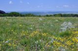 Чатырдаг (нижнее плато), image of landscape/habitat.