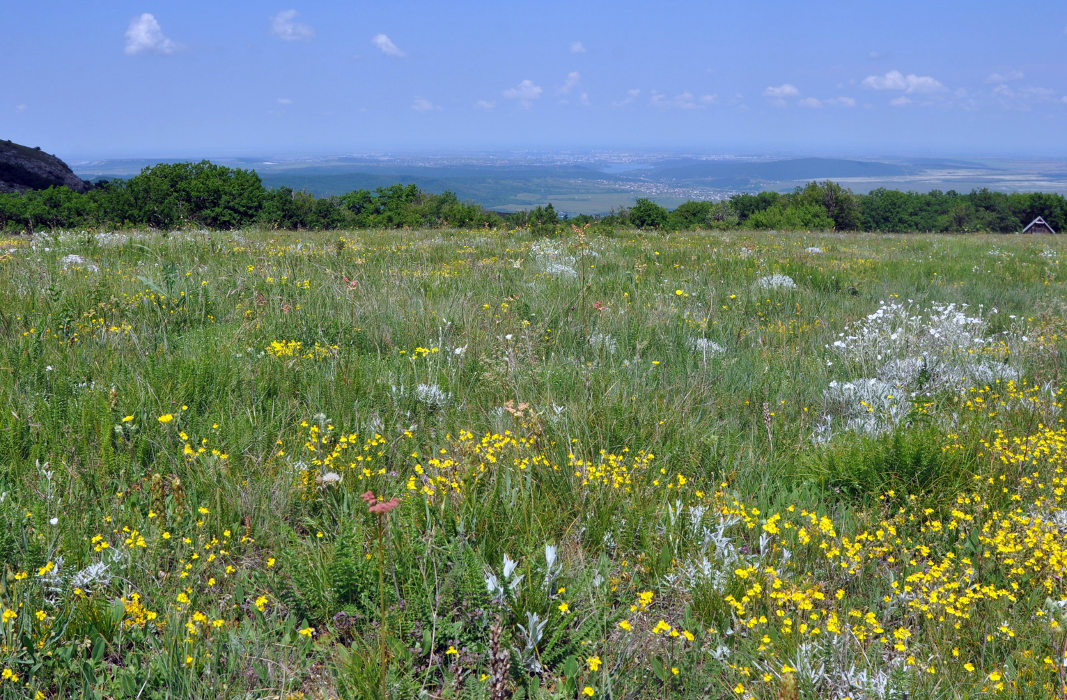 Чатырдаг (нижнее плато), image of landscape/habitat.