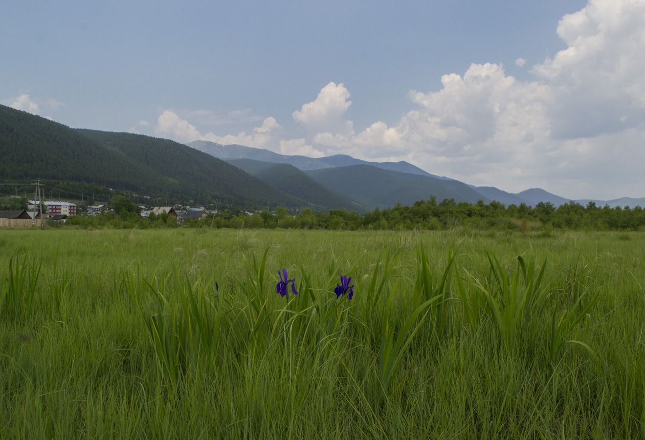 Байкал, окр. Нижнеангарска, image of landscape/habitat.