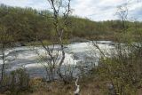 У падунов на Западной Лице, image of landscape/habitat.