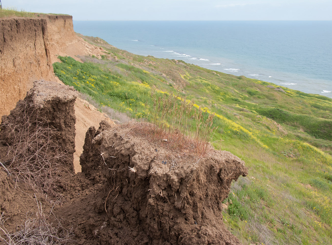 Железный Рог, image of landscape/habitat.