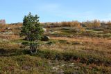 Image of landscape