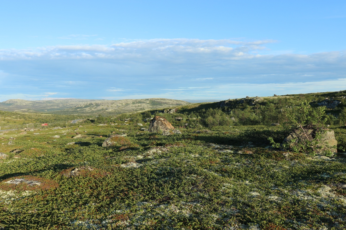 Тундра у Печенгской дороги, image of landscape/habitat.