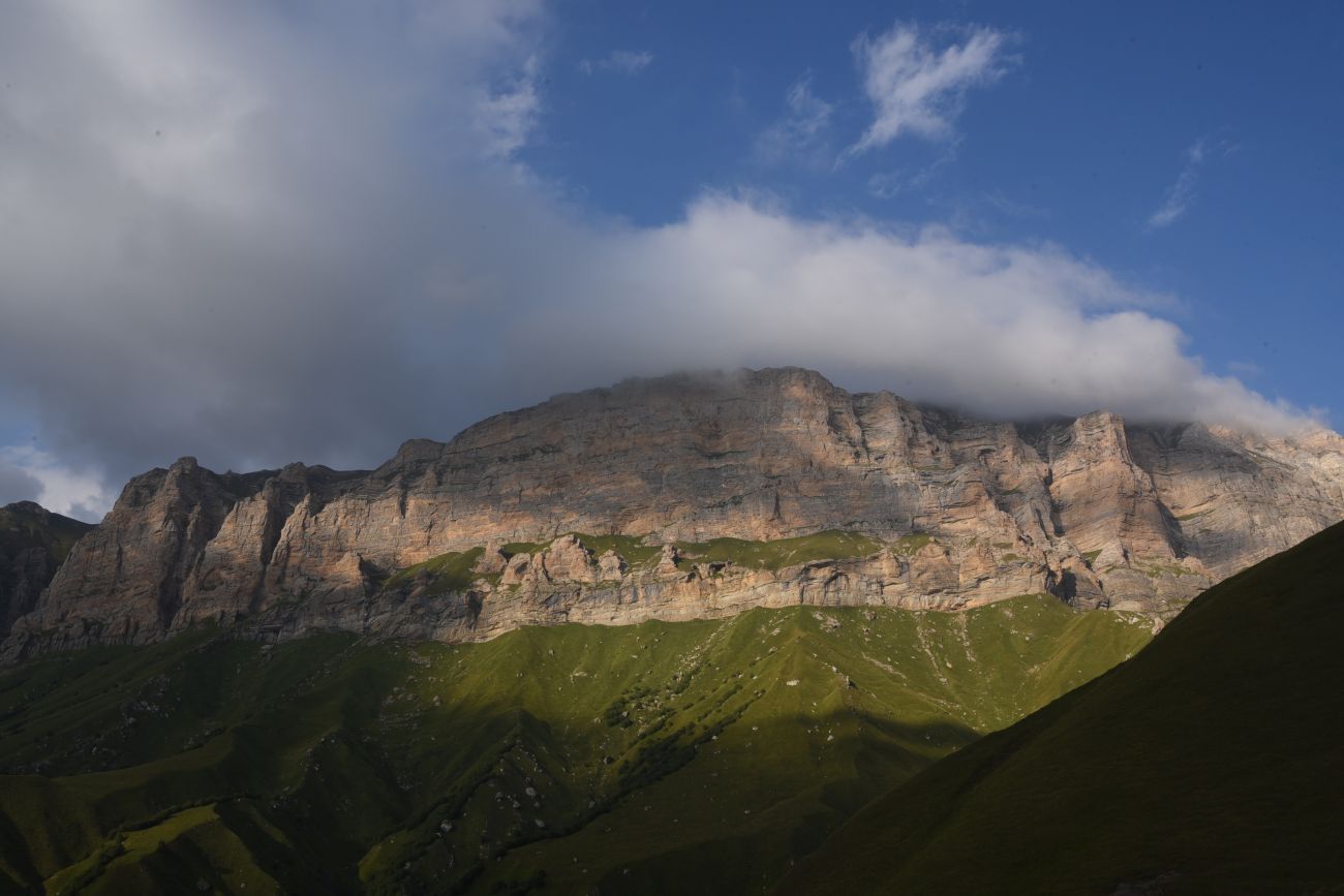 Гора Годобери, image of landscape/habitat.