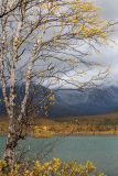 Долина Малого Вудъявра, image of landscape/habitat.