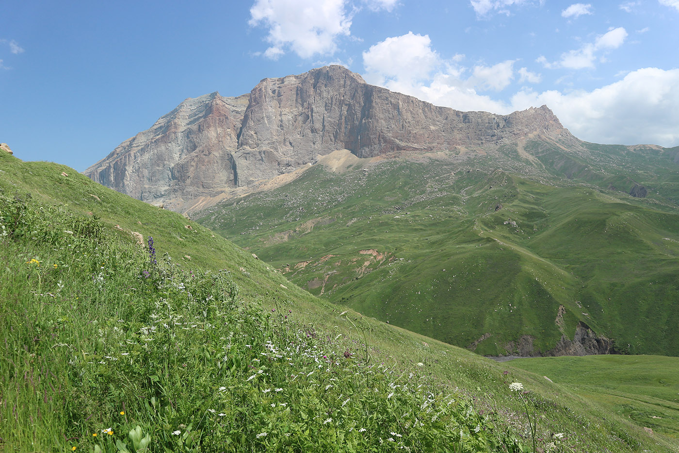 Чехычай, image of landscape/habitat.