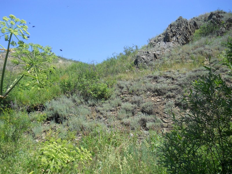 Долина реки Шипунихи, image of landscape/habitat.