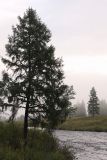 Image of landscape