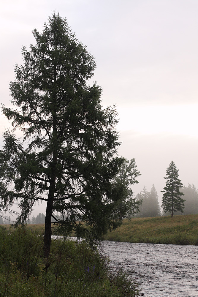 Окрестности Северного, image of landscape/habitat.