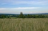 Image of landscape