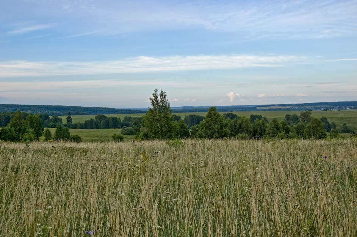 Окрестности деревни Комарово, изображение ландшафта.