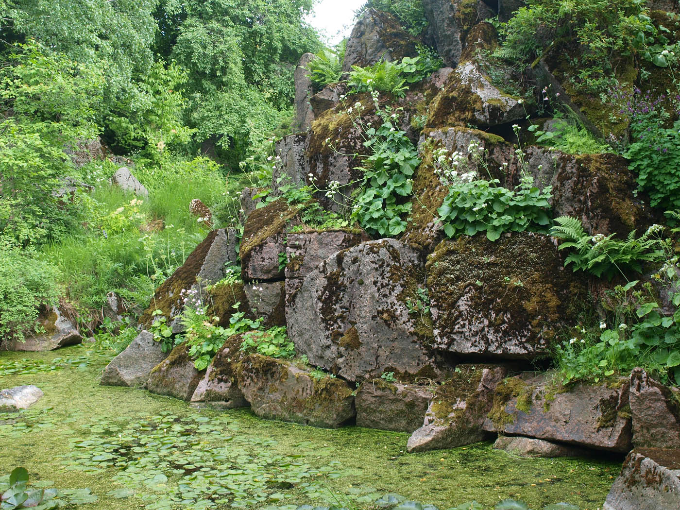 Ботанический Сад МГУ, image of landscape/habitat.