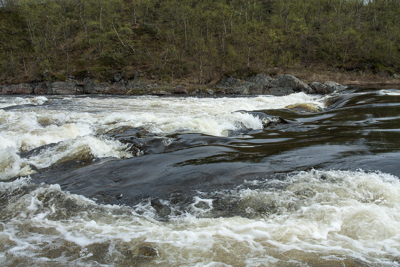 У падунов на Западной Лице, image of landscape/habitat.