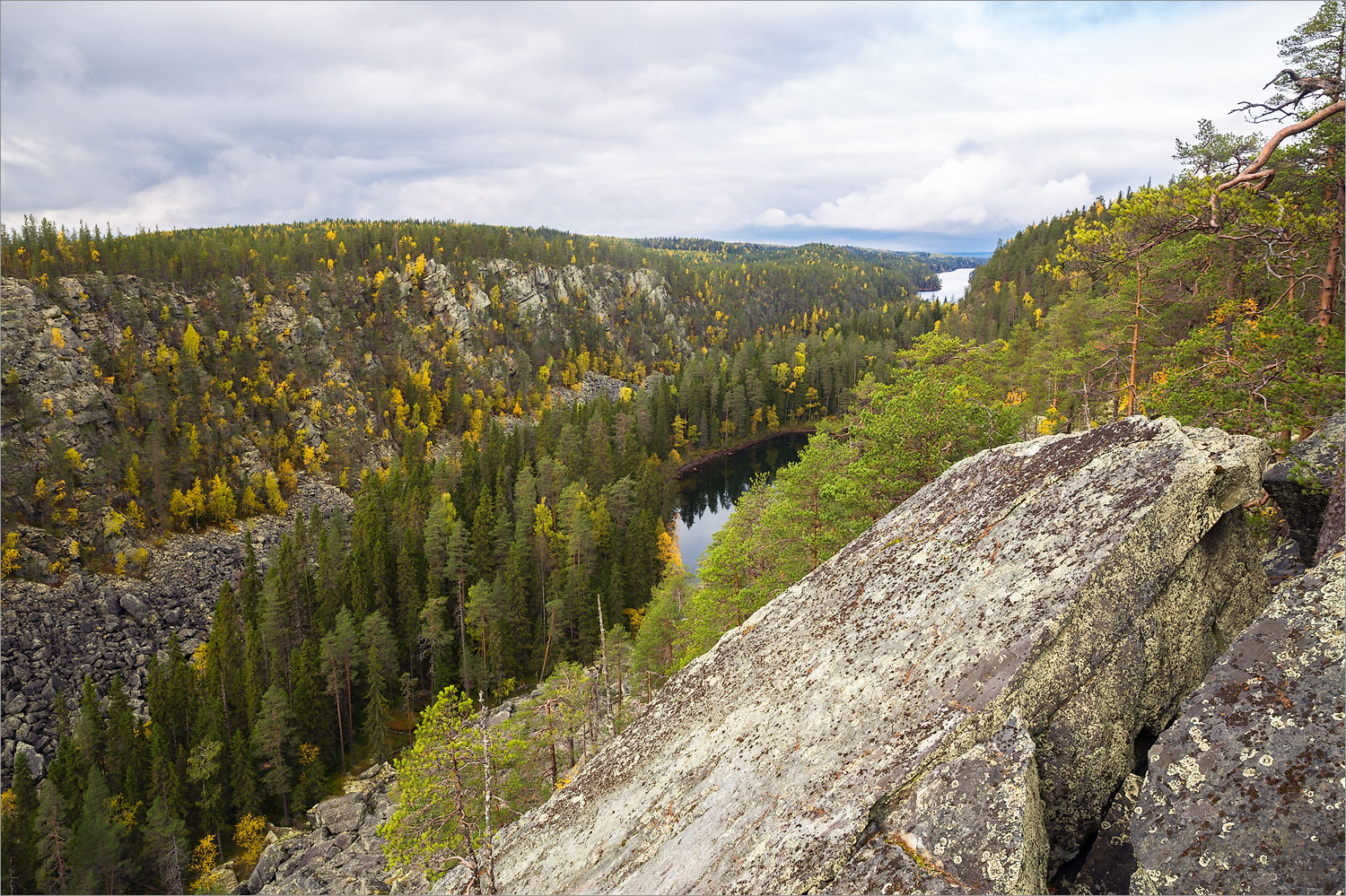 Пизанец, image of landscape/habitat.