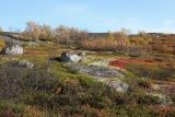 Image of landscape