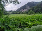 Долина реки Суагдон, image of landscape/habitat.