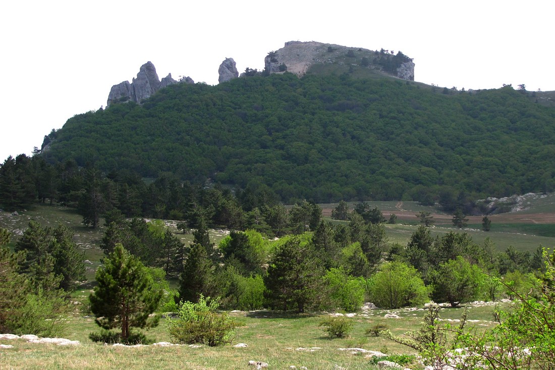 Ай-Петринская яйла, изображение ландшафта.