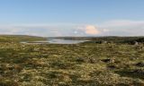 Image of landscape
