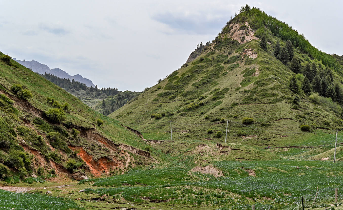 Долина Матисы, изображение ландшафта.