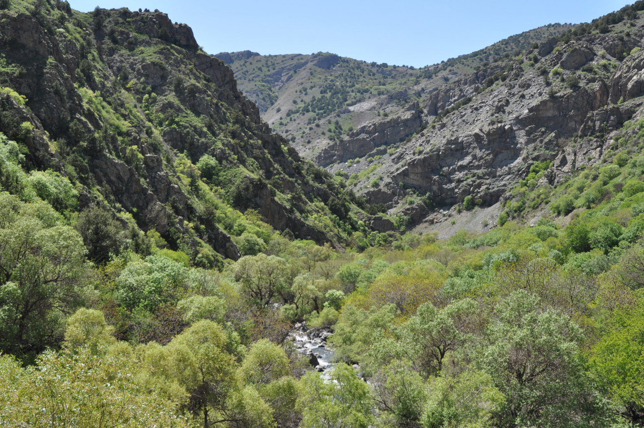 Ущелье реки Арпа, image of landscape/habitat.
