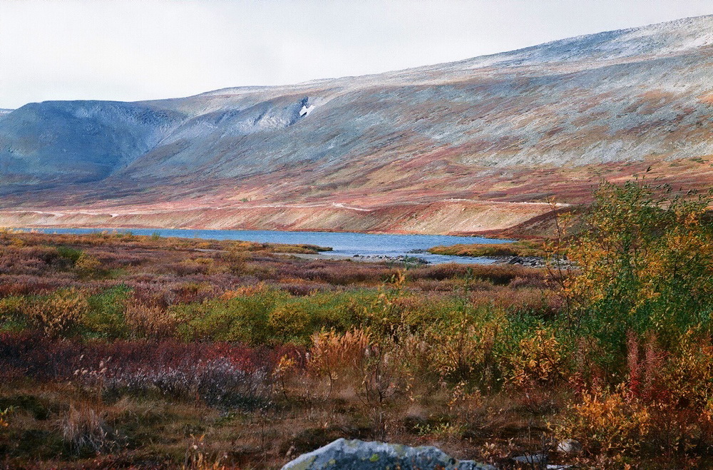 Желанный, image of landscape/habitat.