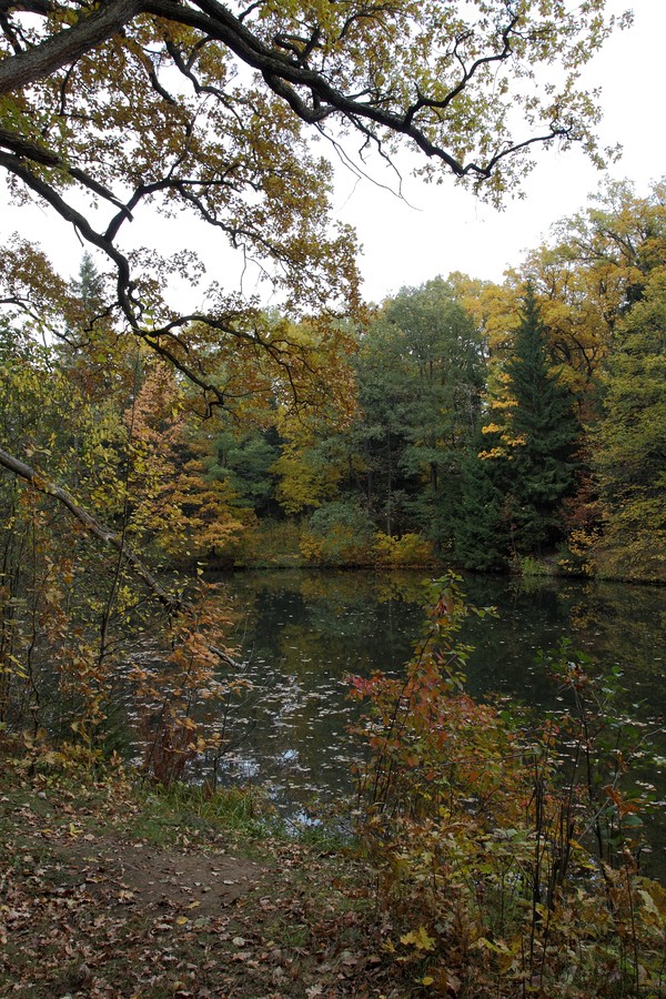 Парк "Сергиевка", image of landscape/habitat.