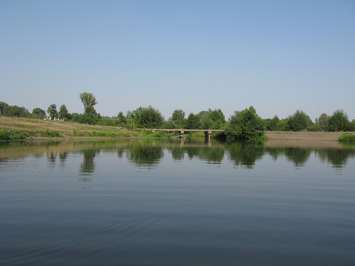 Нижнее течение реки Усожа 1, image of landscape/habitat.