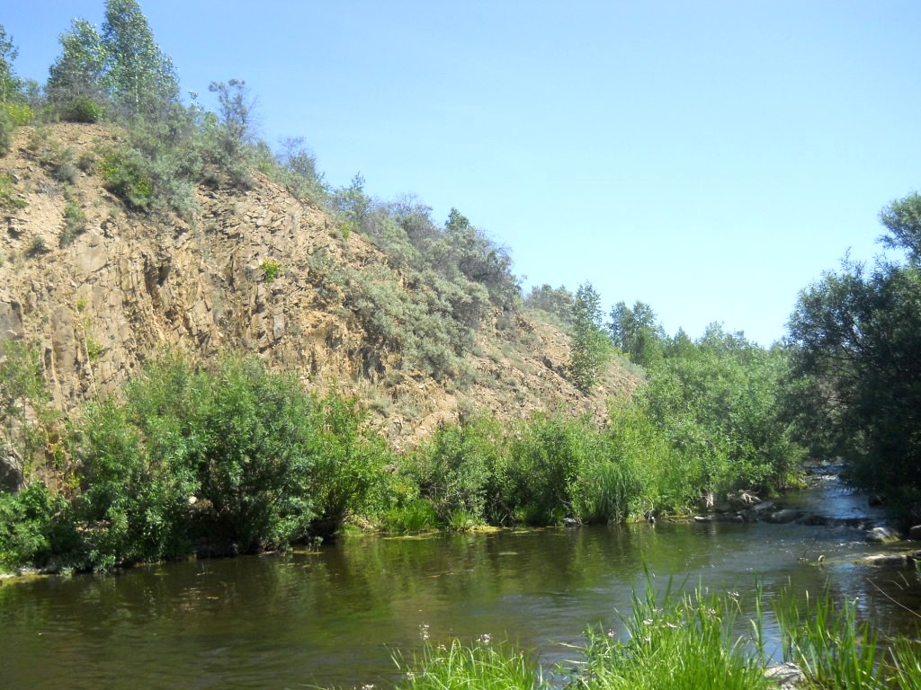 Долина реки Шипунихи, image of landscape/habitat.