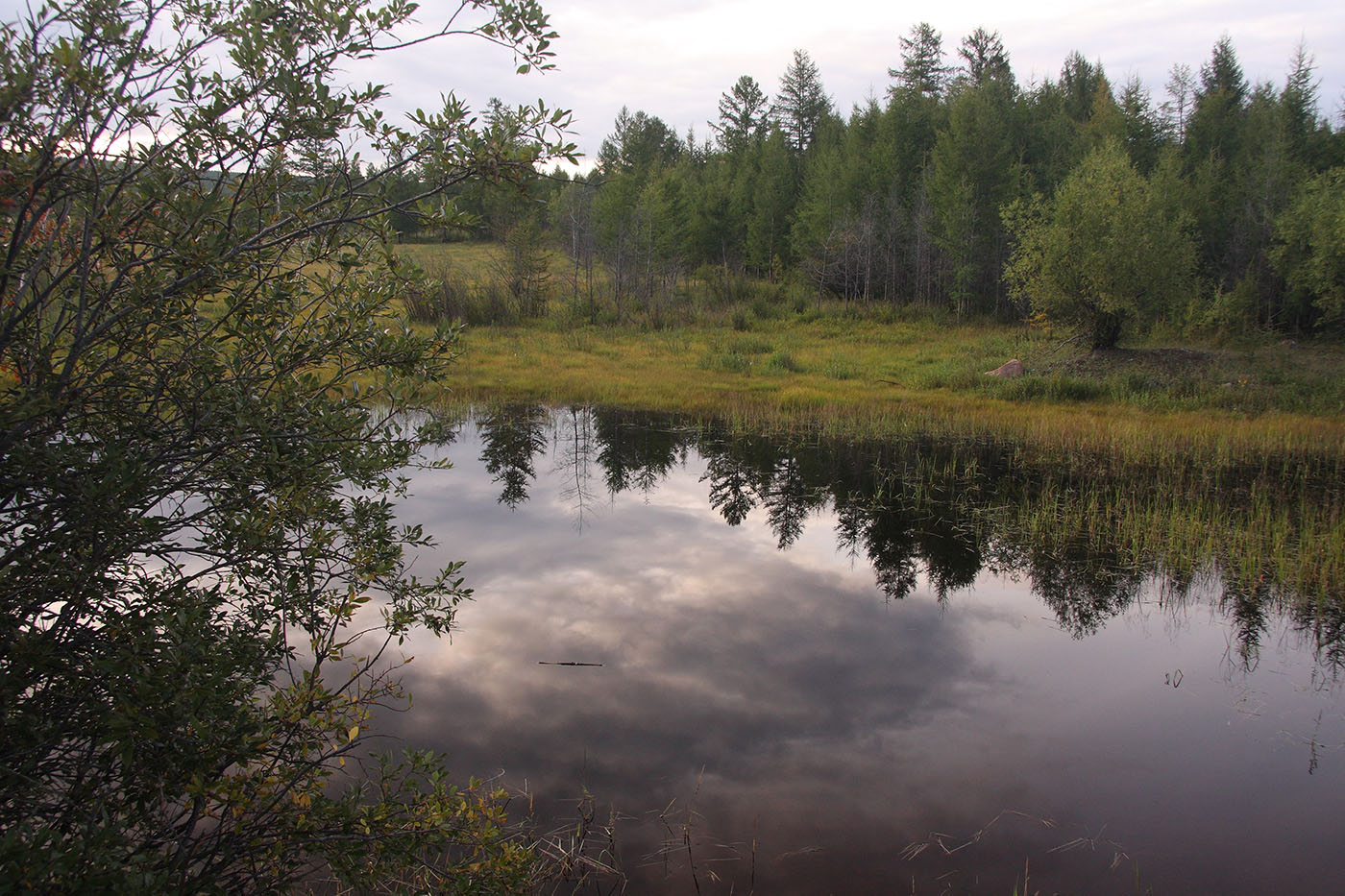 Окрестности Северного, image of landscape/habitat.