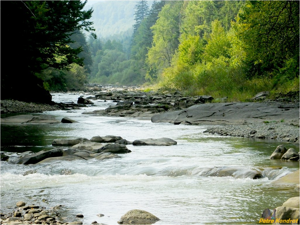 Мысливка, image of landscape/habitat.