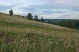 Image of landscape