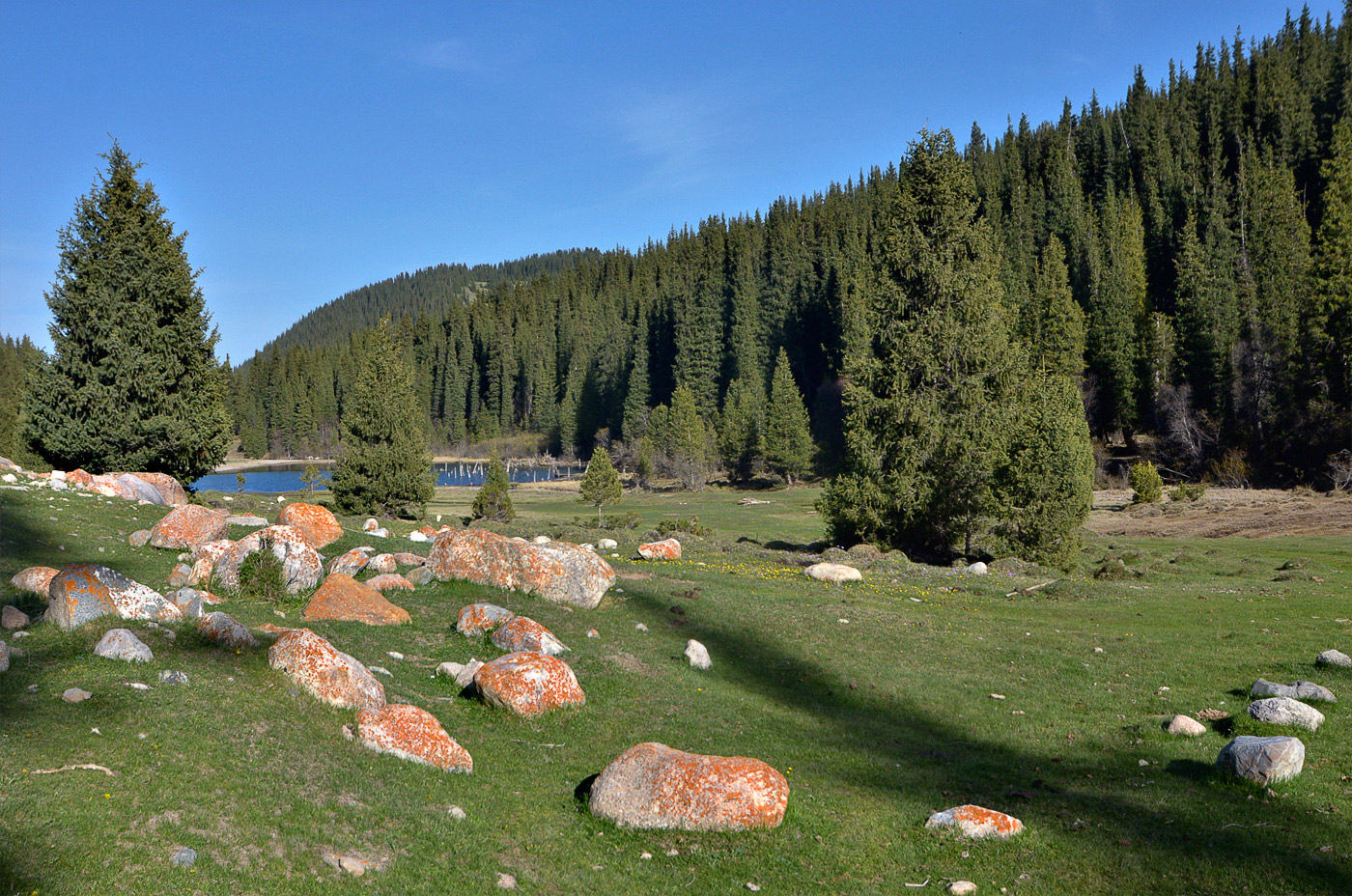 Григорьевское ущелье, image of landscape/habitat.