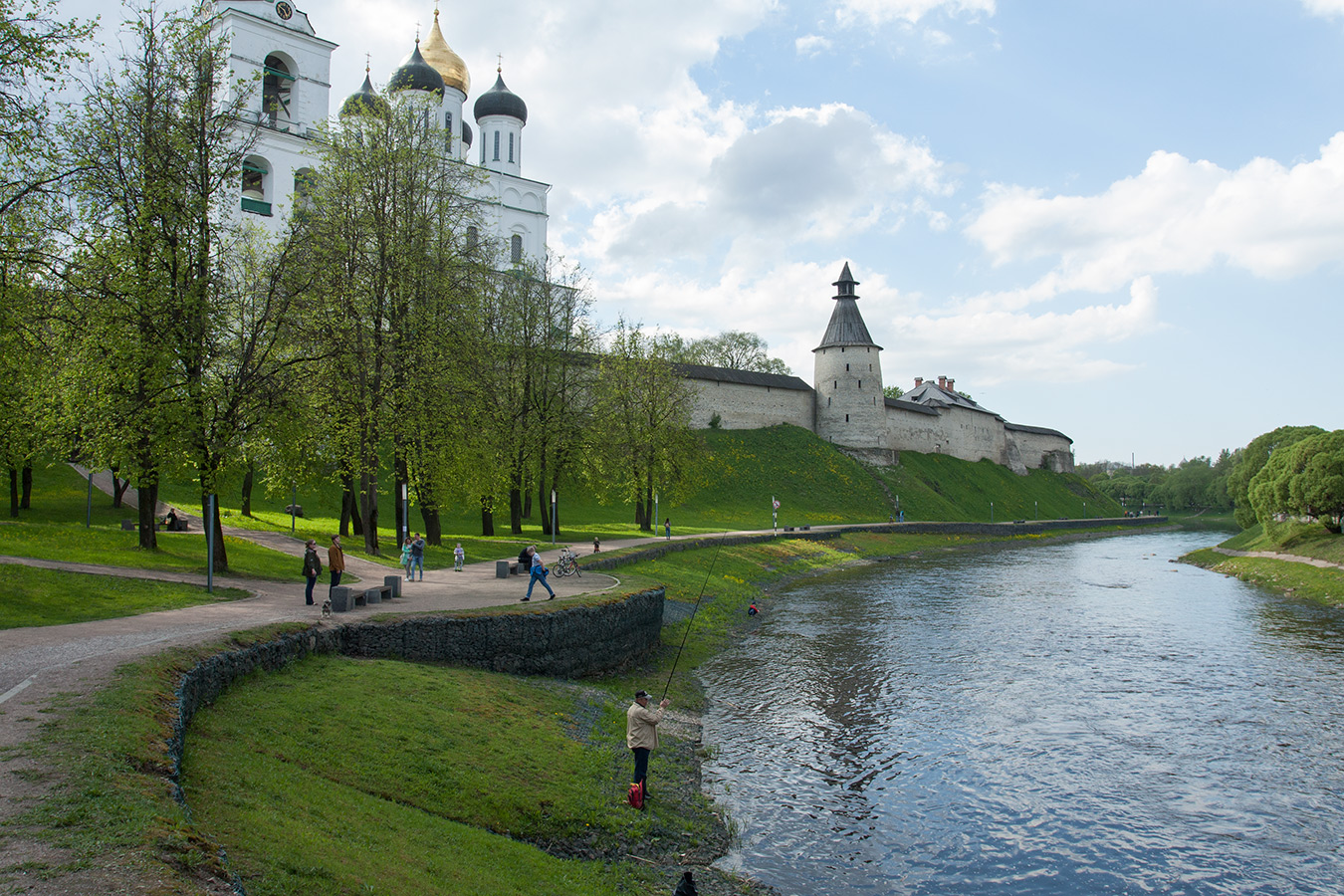 Псков, image of landscape/habitat.
